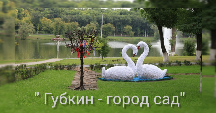 Губкин - город сад Губкин - город сад.